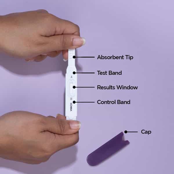 Domina Midstream Pregnancy Test Kit 3N
