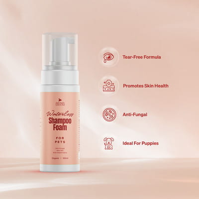 View product image 2
