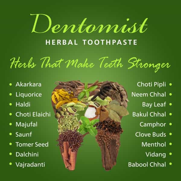 Dentomist Herbal Toothpaste - 100 Gm | Paraben Free | Complete Protection (Pack Of 2)