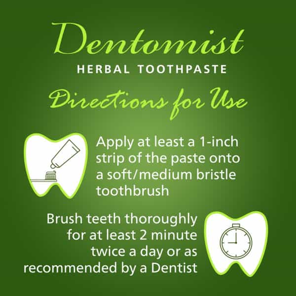 Dentomist Herbal Toothpaste - 100 Gm | Paraben Free | Complete Protection (Pack Of 2)