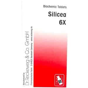 Dr. Reckeweg Silicea Tablet 6x 20 No's
