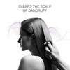 Wella Sp System Professional Clear Scalp Shampoo (1000Ml)