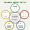 Pure Nutrition Digestive Enzymes Supports Digestion And Better Absorption Of Nutrients 60 Veg Caps