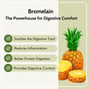 Pure Nutrition Digestive Enzymes Supports Digestion And Better Absorption Of Nutrients 60 Veg Caps