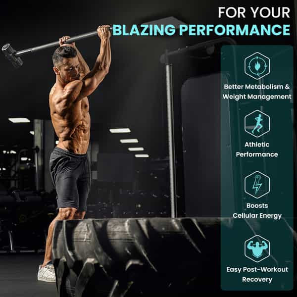 Naturyz Triple Strength L-Carnitine L-Tartrate 2000Mg Fat Burner Weight Loss Supplement - 60 Tablets