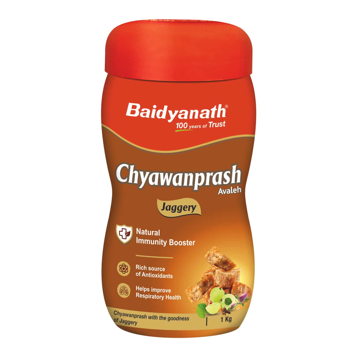 Baidyanath Ayurved Jaggery Chyawanprash 1kg | Amla & Desi Ghee Immunity Booster