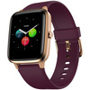 Noise Colorfit Pro 2 Deep Wine