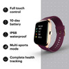 Noise Colorfit Pro 2 Deep Wine