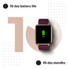 Noise Colorfit Pro 2 Deep Wine