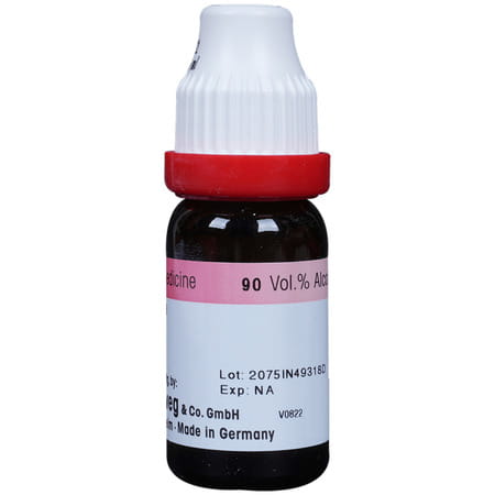 Dr. Reckeweg Belladonna Dilution 200 Ch 11 Ml