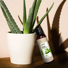 Aloe Vera Shampoo 100Ml Pack Of 2