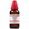 Dr. Willmar Schwabe India Chimaphila Umbellata Dilution 12 Ch 30 Ml