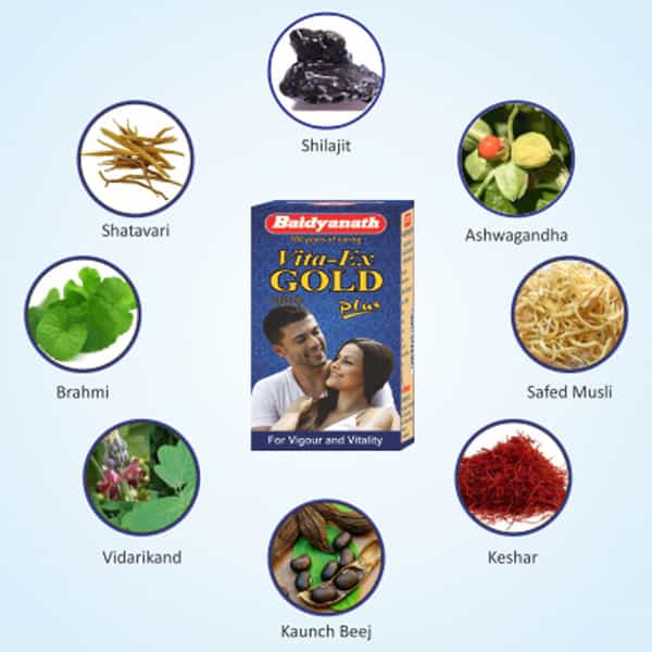 Baidyanath Asli Ayurved Vita Ex Gold Plus | Stamina Booster | 20 Capsules
