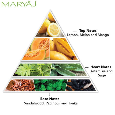 Maryaj Direction East Edp 100ml For Men & Grey Stone For Him Edp 100ml Pack Of 2