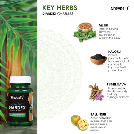 Sheopal'S Ayurvedic Herbal Diabdex Diabetes Care | 30 Capsules | Pack Of 3