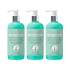 Bester Herbal Shampoo 300 Ml | Reduces Hair Fall | Dandruff & Tangled Hair (Pack Of 2)