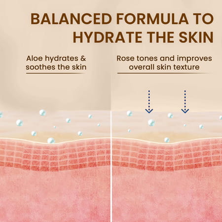 The Skin Story Refreshing Aloe Mist | 100ml