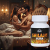 Cipzer Shilajit Ultra Gold 30 Capsules | Supports Strength| Stamina & Energy Wellness