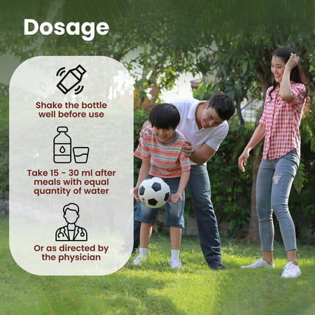 Baidyanath Ashwagandharishta 450 Ml