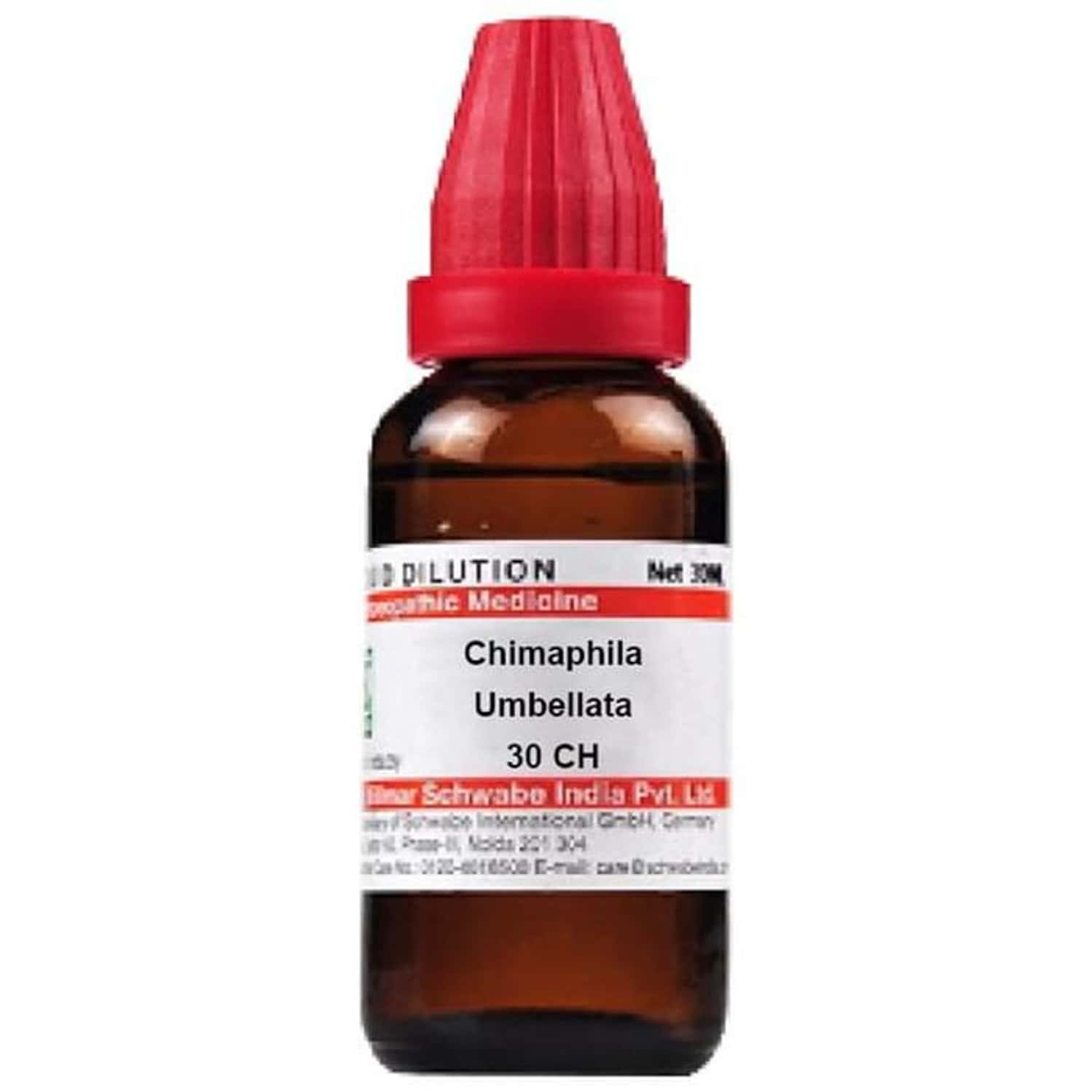 Dr. Willmar Schwabe India Chimaphila Umbellata Dilution 30 Ch 30 Ml