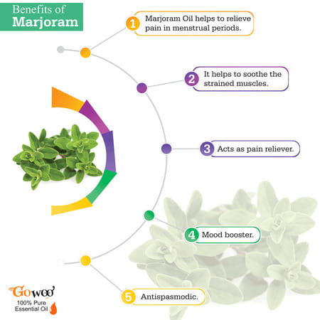 Go Woo 100% Pure Marjoram Oil Therapeutic Grade & Aromatherapy For Skin Care 30 Ml