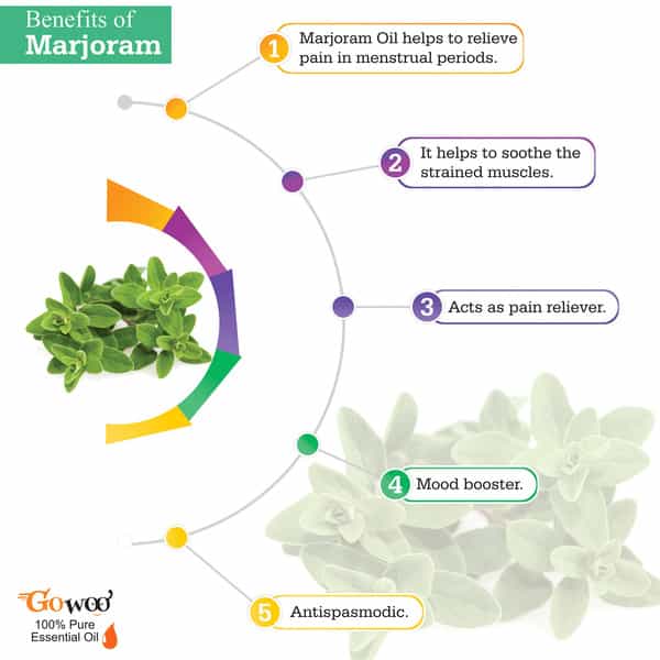 Go Woo 100% Pure Marjoram Oil Therapeutic Grade & Aromatherapy For Skin Care 30 Ml