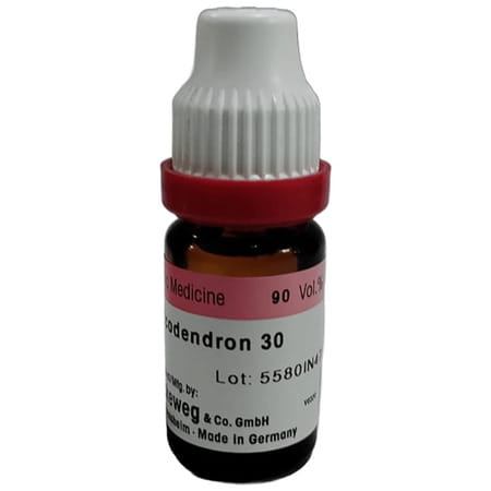 Dr. Reckeweg Rhus Tox Dilution 30 Ch 11 Ml