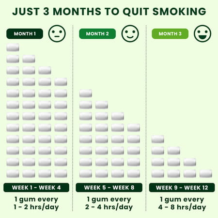 Nixit Nicotine Frost Mint Gums 2Mg Sugar-Free Bigger Size (Pack Of 20) - Helps Quit Smoking