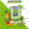 Vedapure 100% Plant Protein Based With Mct Powder Chocolate 500 Gm (Pack Of 1)