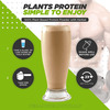 Vedapure 100% Plant Protein Based With Mct Powder Chocolate 500 Gm (Pack Of 1)