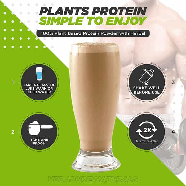 Vedapure 100% Plant Protein Based With Mct Powder Chocolate 500 Gm (Pack Of 1)