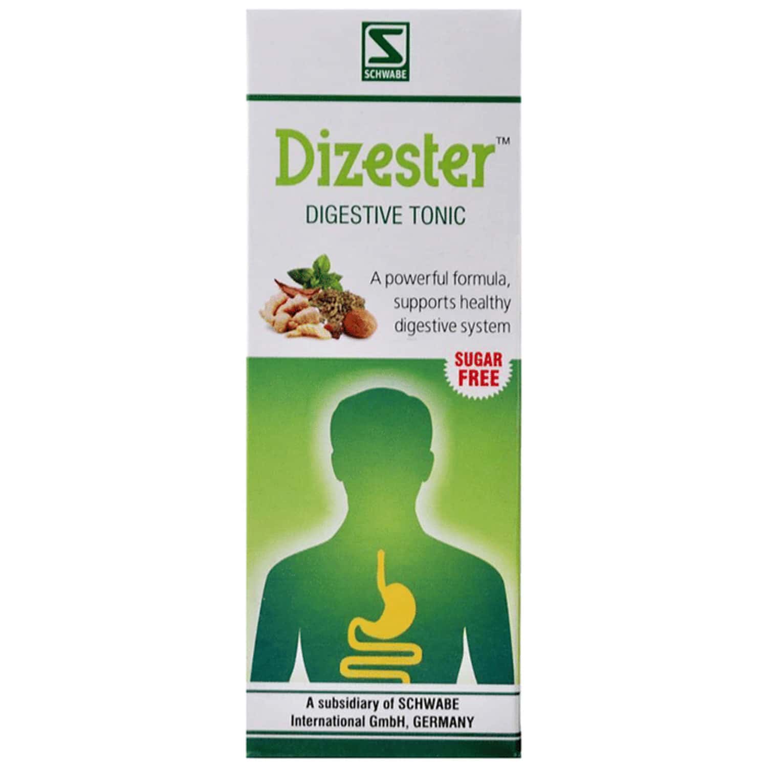Dr. Willmar Schwabe India Dizester Digestive Tonic Sugar Free 500 Ml