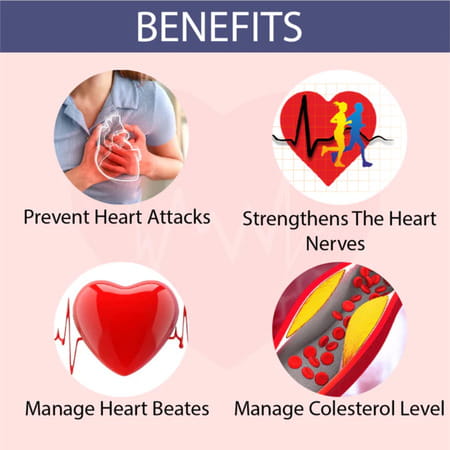 Cipzer Arq Qalb-E-Rahat 500ml | Herbal Tonic For Heart Health| Cholesterol & Circulation Support