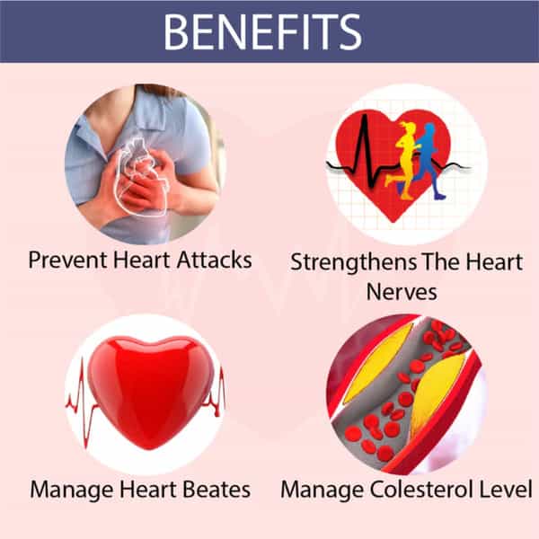 Cipzer Arq Qalb-E-Rahat 500Ml | Herbal Tonic For Heart Health| Cholesterol & Circulation Support