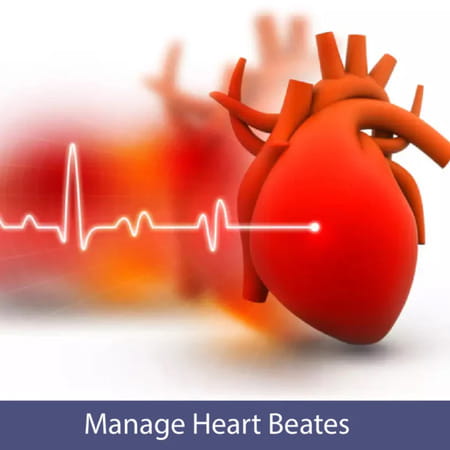 Cipzer Arq Qalb-E-Rahat 500ml | Herbal Tonic For Heart Health| Cholesterol & Circulation Support