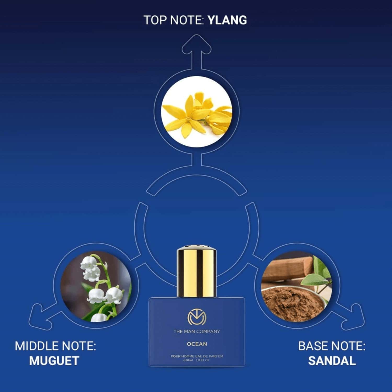 Buy THE MAN COMPANY OCEAN PERFUME FOR MEN EAU DE PERFUME 30ML Online