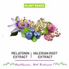 Bliss Welness Calm Bliss Sleep Gummies | Better Sleep Cycle | Melatonin 10Mg (Mixed Fruit Veg) - 30N