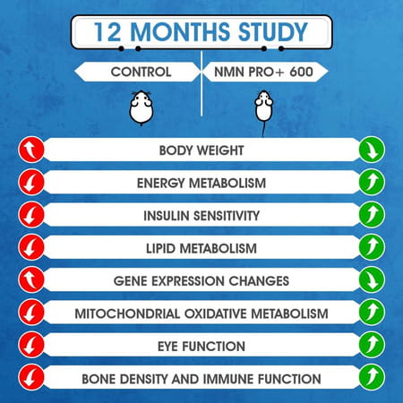 Fitnessveda Nmn Pro+ 600mg 99.9% Ultra Pure | Cellular Repair | Boost Nad+ Energy Levels