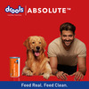 Drools Absolute Salmon Oil Syrup - Dog Supplement 300Ml