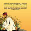 Farmley Flax Seeds Rich In Protein 400G (200G X 2 )