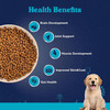 Carniwel Fresh Chicken Puppy Dry Dog Food 10 Kg | Natural Ingredients For Healthy Skin & Coat