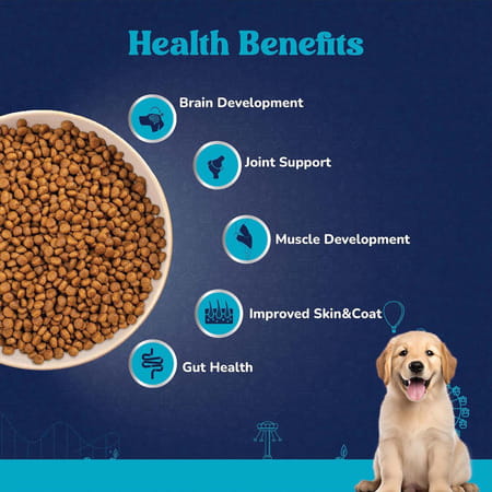 Carniwel Fresh Chicken Puppy Dry Dog Food 10 Kg | Natural Ingredients For Healthy Skin & Coat