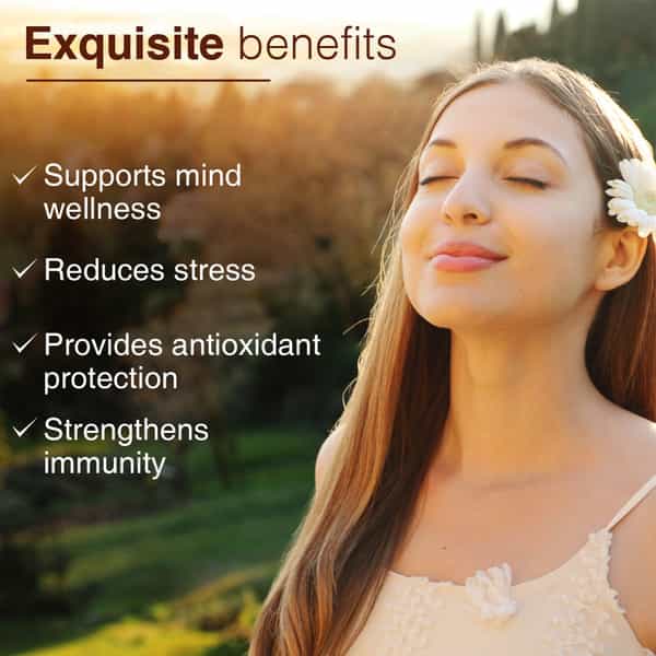 Ayouthveda Brahmi Powder - 200G