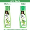 Hair & Care Damage Repair Non-Sticky Hair Oil With Aloe Vera Olive Oil & Green Tea - 500 Ml