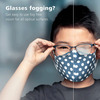 Zeiss Antifog Kit 30ml
