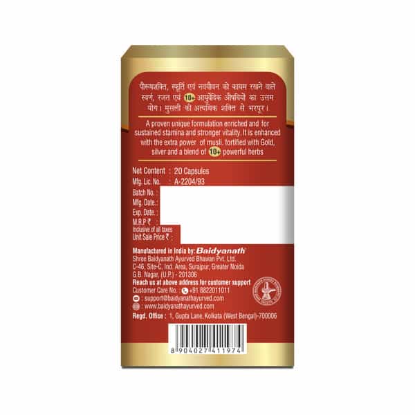 Baidyanath Ayurved Vita Ex Gold Plus 20 Caps | Stamina & Vitality Booster