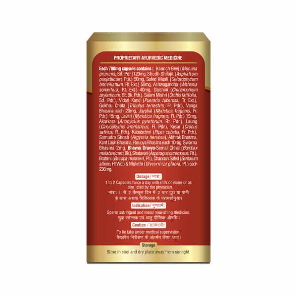 Baidyanath Ayurved Vita Ex Gold Plus 20 Caps | Stamina & Vitality Booster