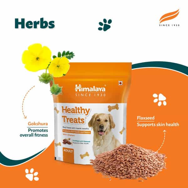 Himalaya Chicken Healthy Adult Dog Treats / 400G