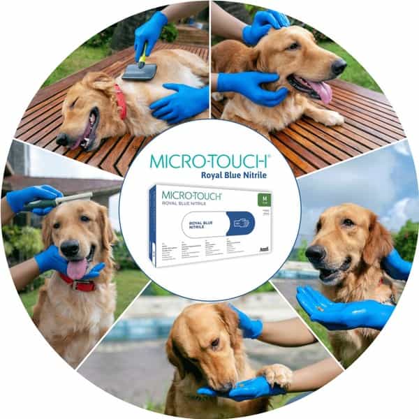 Ansell Micro Touch Royal Blue Nitrile Examination Glove Pack Of 100 - Small