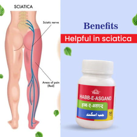 Cipzer Habb-E-Asgand 50 Pills | Supports Joint| Back & Head Comfort (Pack Of 1)